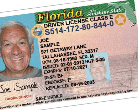 Florida dmv drivers license check