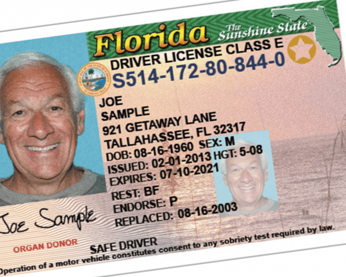 fl drivers license number check