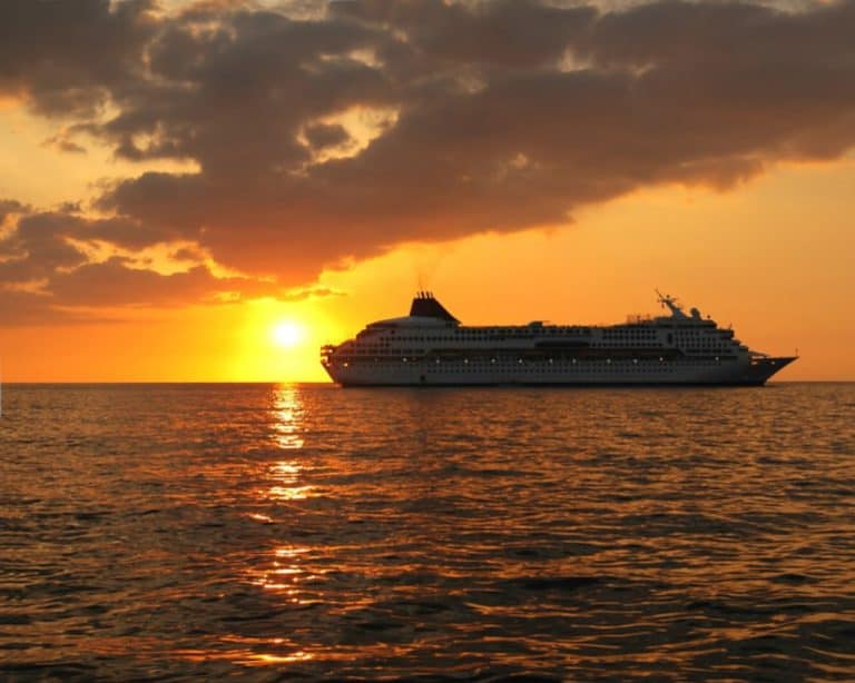 AAA Americans Starting to Take Cruises After the Pandemic Florida Daily