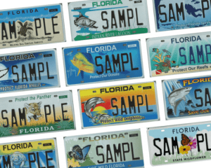 Floridians Now Have 32 New Specialty License Plates to Choose From ...