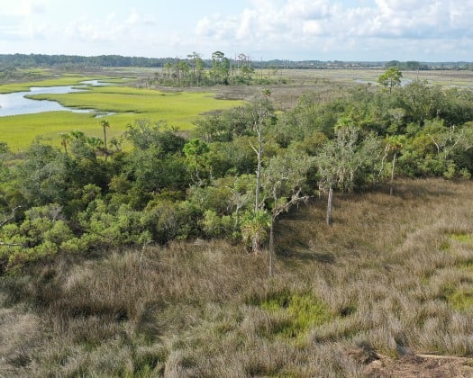 Intracoastal-Islands-525x420-1.jpeg