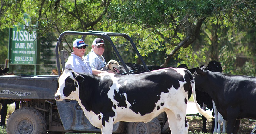 Keeping the Family Dairy Cow with Shawn Dougherty - School of