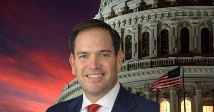 what are marco rubio's committee assignments