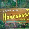 A brown colored billboard that reads Don't Miss Homosassa Springs