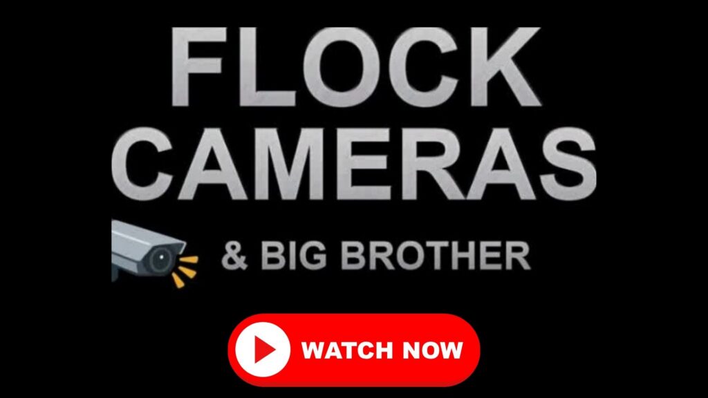 Reaction to Flock Cameras Being Removed in Florida